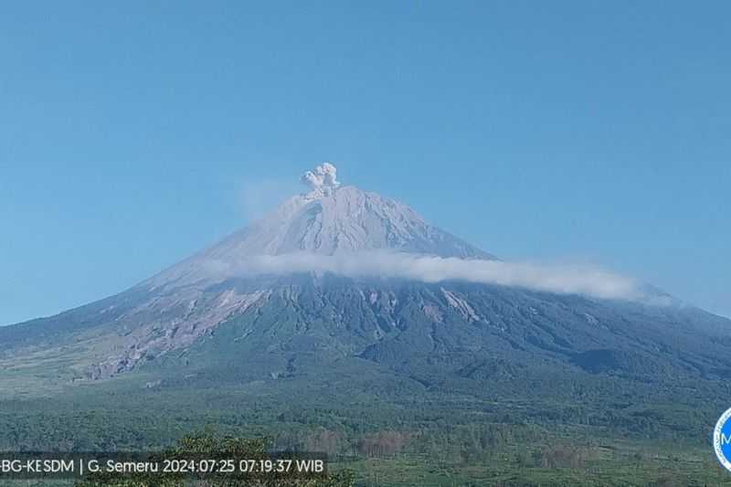 Gunung Semeru Erupsi Lontarkan Abu Vulkanik